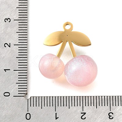 304 Stainless Steel Acrylic Pendants X1-STAS-E549-01G-03-1