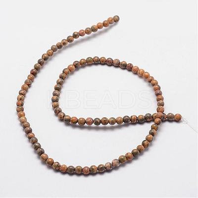 Natural Leopard Skin Jasper Beads Strands G-N0181-02-4mm-1