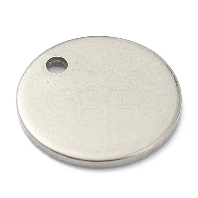 Tarnish Resistant 304 Stainless Steel Charms STAS-H157-05P-1
