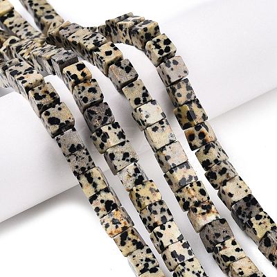 Natural Dalmatian Jasper Beads Strands G-T139-6x6-17A-1