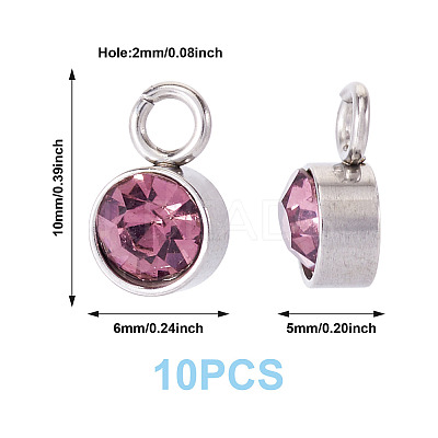 10Pcs Glass Rhinestone Charms STAS-TA0003-26H-1