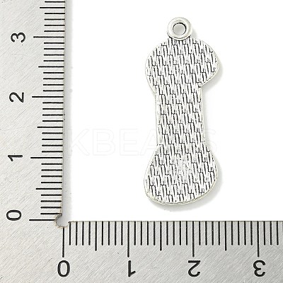 Tibetan Style Alloy Pendants TIBE-I026-5998AS-1