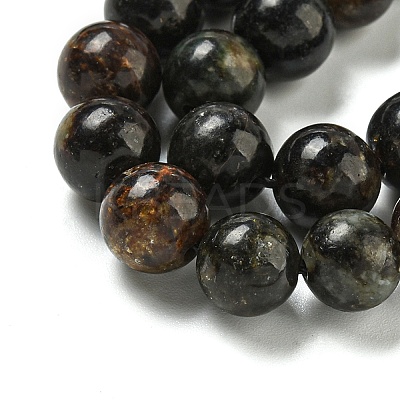 Natural Phlogopite Beads Strands G-P546-A01-03-1
