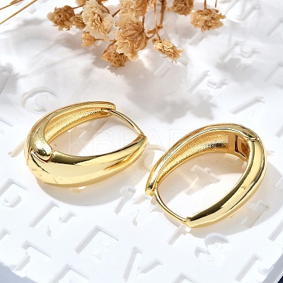 Oval Brass Hoop Earrings EJEW-Z086-08G-1