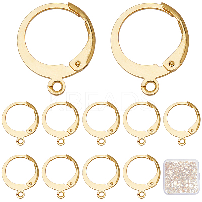 120Pcs 304 Stainless Steel Leverback Earring Findings STAS-SC0006-28G-1