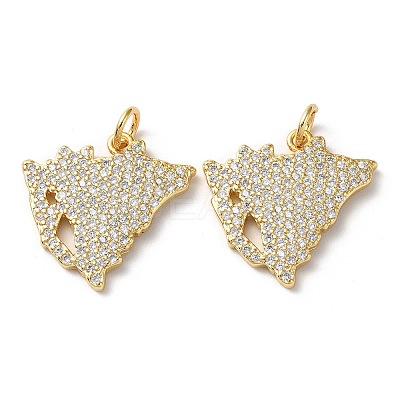 Rack Plating Brass Micro Pave Cubic Zirconia Pendants KK-M254-04G-1