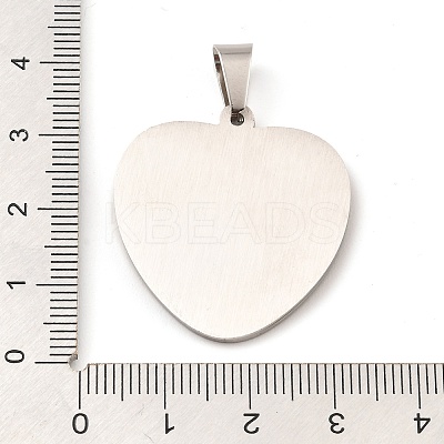 304 Stainless Steel Pendants STAS-H182-11D-P-1