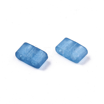 FGB 2-Hole Baking Paint Glass Seed Beads LS-X-SEED-S031-M-SH1205FR-1