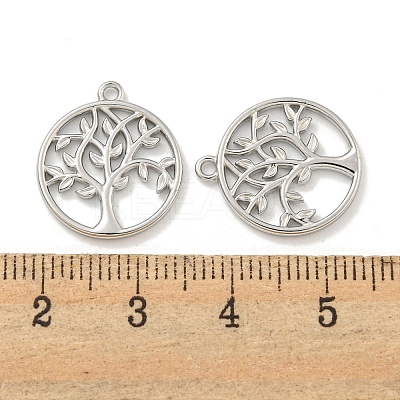 Non-Tarnish 304 Stainless Steel Pendants STAS-L278-100P-1