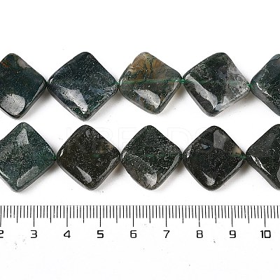 Natural Moss Agate Beads Strands G-L239-16-1