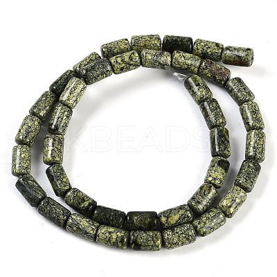 Natural Serpentine/Green Lace Stone Beads Strands G-H064-B01-01-1