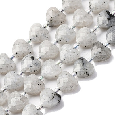 Natural Labradorite Beads Strands G-P570-E18-01-1