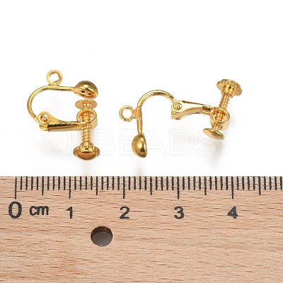 Brass Screw-Back Earring with Loop EC143-M-1