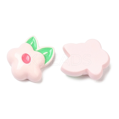 Opaque Resin Fruit Cabochons LS-RESI-G072-02G-1