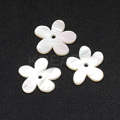 Natural White Shell Beads X-SSHEL-I008-03-1