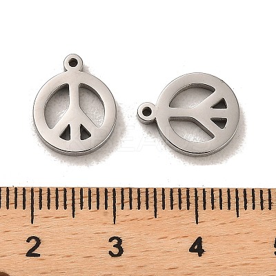 Non-Tarnish 304 Stainless Steel Charms LS-STAS-L022-137P-1