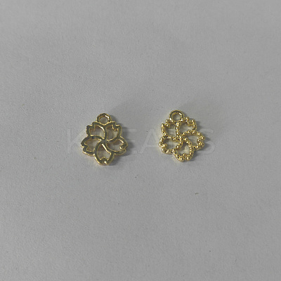 Alloy Open Back Bezel Charms FIND-WH0115-06LG-1