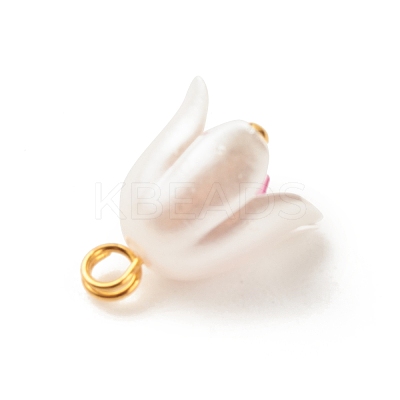 Spray Painted ABS Plastic Imitation Pearl Charms PALLOY-JF01603-04-1