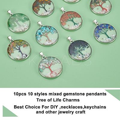 10Pcs 10 Style Mixed Gemstone Pendants G-PH0019-19-1