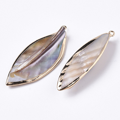 Natural Freshwater Shell Big Pendants SHEL-R048-09-1
