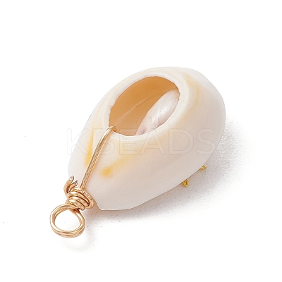 Copper Wire Wrapped Natural Cowrie Shell Pendants PALLOY-JF03554-05-1