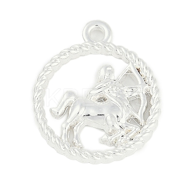 Twelve Constellations Alloy Pendants LS-PALLOY-Q006-01D-S-1