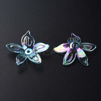 Transparent Acrylic Beads MACR-S373-102-C05-1