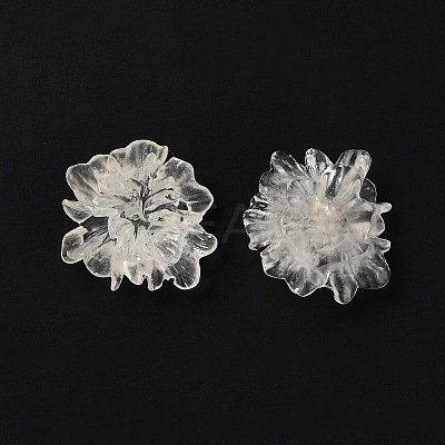 Transparent Resin Cabochons LS-X-RESI-G027-01A-1