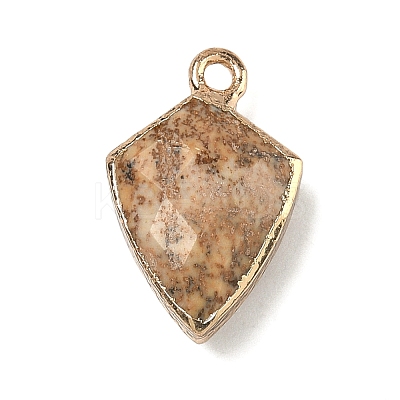 Natural Picture Jasper Pendants G-K422-01G-10-1