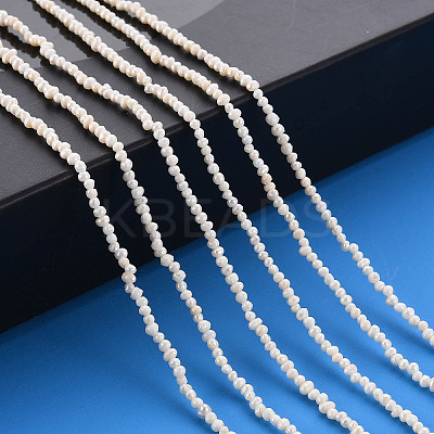 Natural Cultured Freshwater Pearl Beads Strands PEAR-S016-001-1