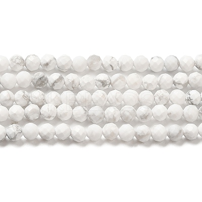 Natural Howlite Beads Strands G-E608-A01-B-1