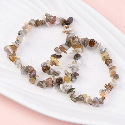Natural Botswana Agate Chip Beaded Stretch Bracelets for Women Men BJEW-L038-01C-1