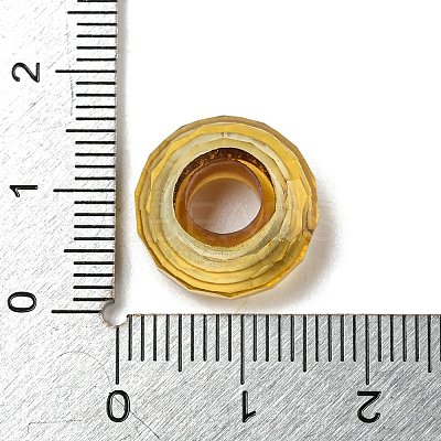 Glass European Beads LS-GLAA-XCP0001-43D-1
