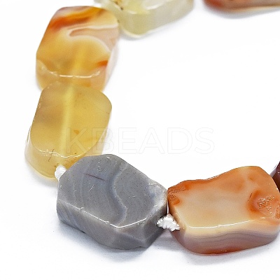 Natural Botswana Agate Beads Strands G-F725-14-1