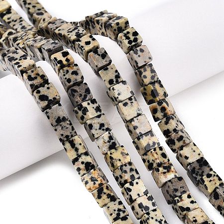 Natural Dalmatian Jasper Beads Strands G-T139-6x6-17A-1