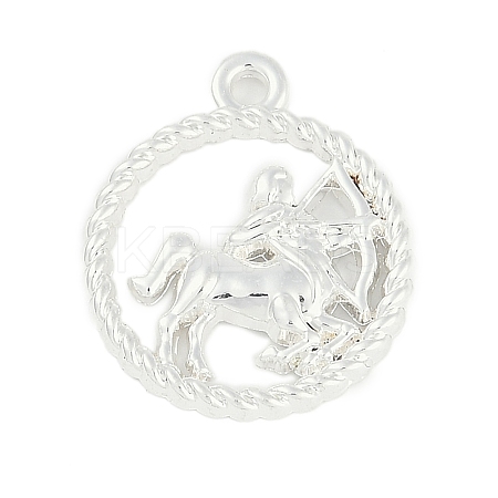 Twelve Constellations Alloy Pendants LS-PALLOY-Q006-01D-S-1