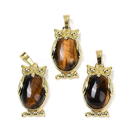 Natural Tiger Eye Pendant KK-F887-02G-07-1