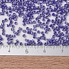 MIYUKI Delica Beads SEED-X0054-DB1569-4