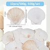 500G Natural Shell Ornaments DJEW-FH0001-35B-2