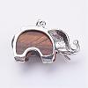 Natural Tiger Eye Pendants G-P268-04-2