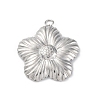 304 Stainless Steel Pendants STAS-Z114-02P-1