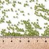 TOHO Round Seed Beads SEED-JPTR11-0946FM-4