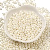 Baking Paint Glass Seed Beads SEED-C004-04G-2