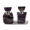 Natural Amethyst Dropper Perfume Bottles DJEW-H010-02P-01-1