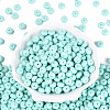 Opaque Baking Paint Glass Seed Beads SEED-N008-03A-07-2
