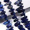 Natural Lapis Lazuli Beads Strands G-Z091-A23-1