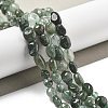 Natural Green Rutilated Quartz Beads Strands G-C179-F07-02-2