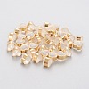 Eco-Friendly Plastic Ear Nuts STAS-K203-04A-G-1