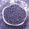 Glass Seed Beads X1-SEED-S042-04A-08-2