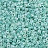 Glass Seed Beads SEED-XCP0001-48-2